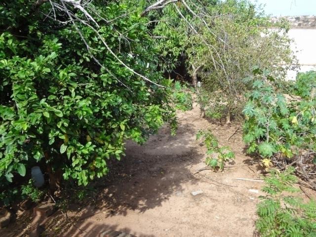 Terreno para Venda em São Pedro - 4