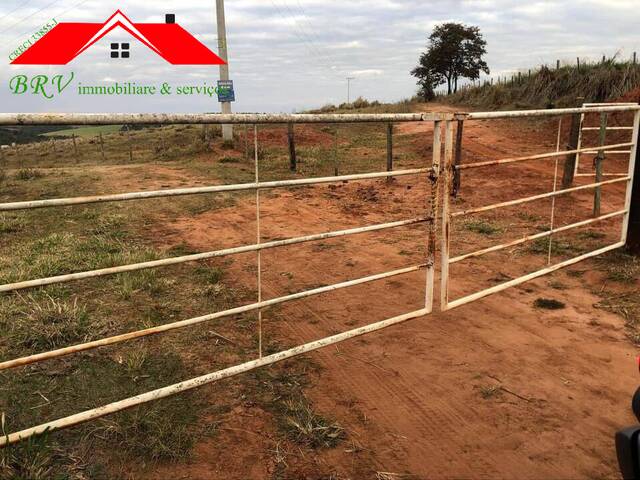 #103 - Sítio para Venda em São Pedro - SP - 2