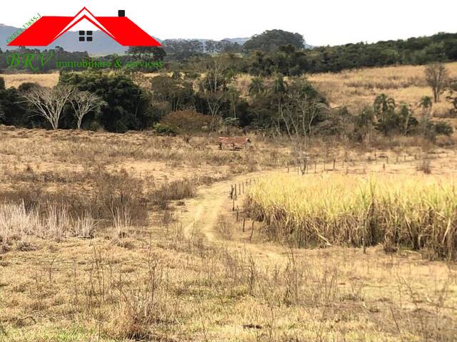 #103 - Sítio para Venda em São Pedro - SP - 3