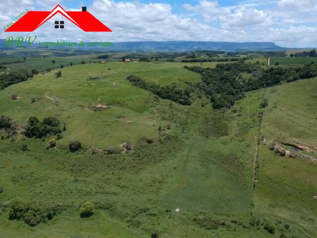 Sítio para Venda em São Pedro - 4