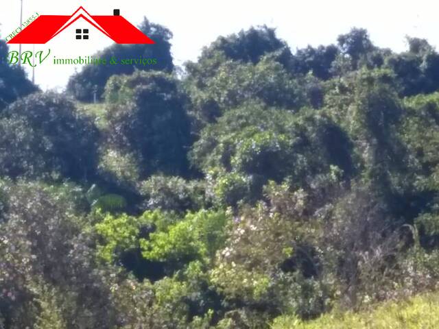 Sítio para Venda em São Pedro - 5