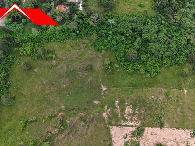 Terreno para Venda em São Pedro - 4
