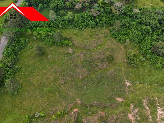 Terreno para Venda em São Pedro - 5