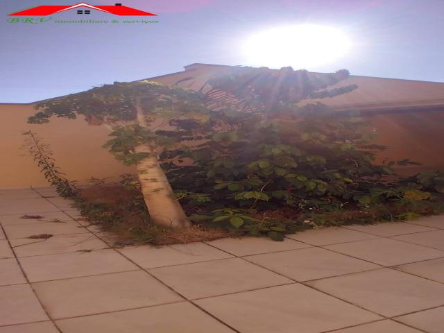 Casa para Locação em São Pedro - 4